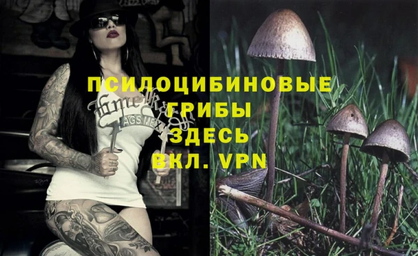 амф Алзамай