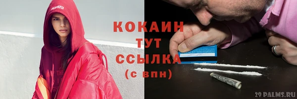 тгк Алексин